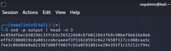 baby crypto PDF evidence frame 2