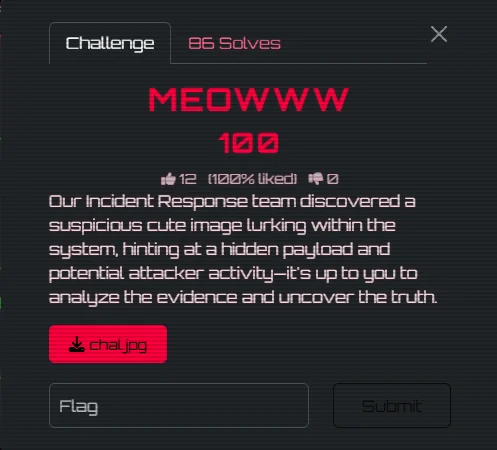 Meowww challenge prompt PDF evidence